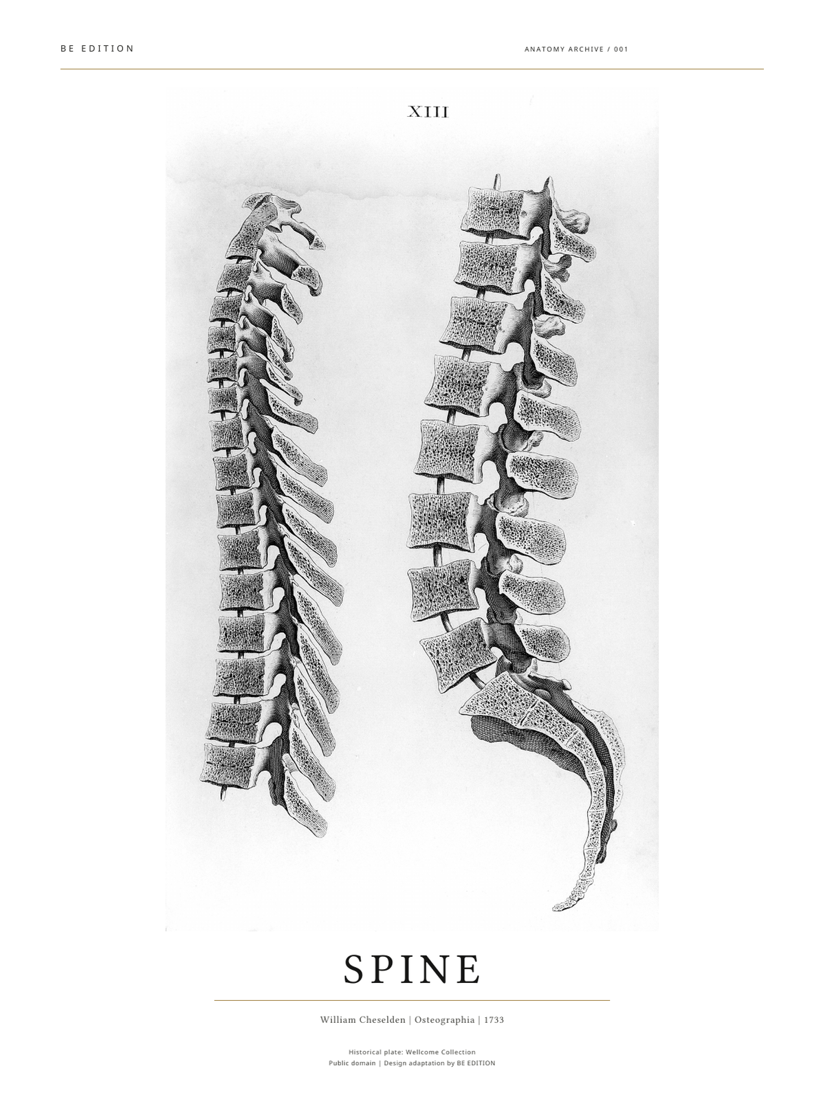 Spine 1733 digital poster artwork — PDF download, no frame or physical product included