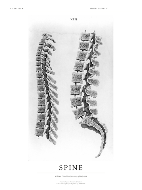 Spine 1733 digital poster artwork — PDF download, no frame or physical product included