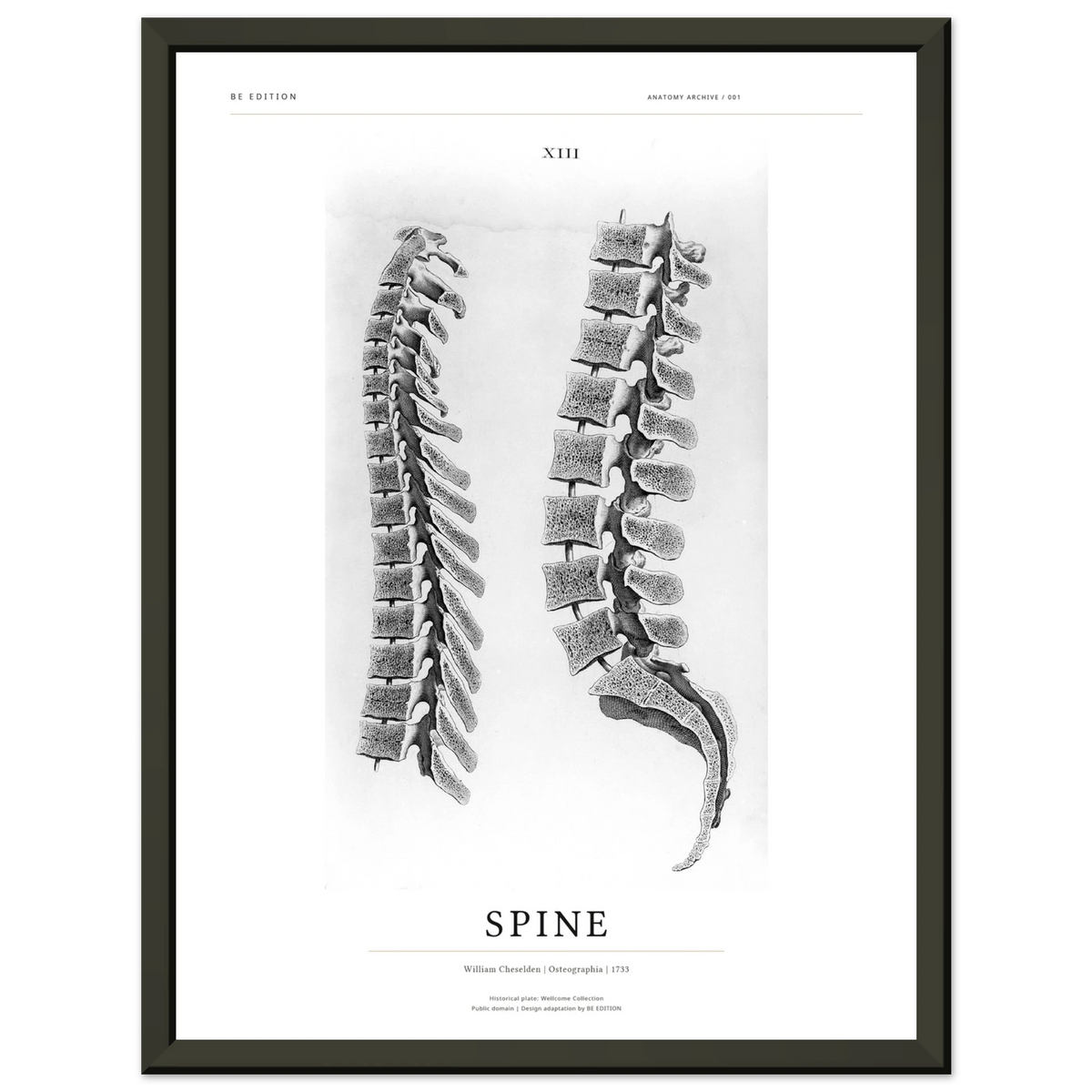 BE EDITION SPINE 1733, siyah çerçevede 30 × 40 cm tarihî omurga sanat baskısı