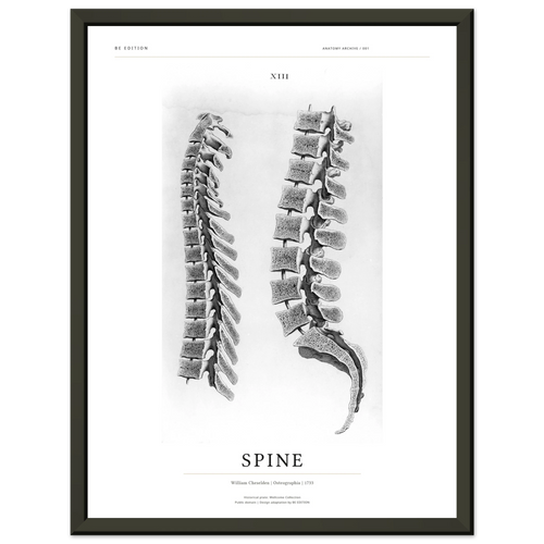 BE EDITION SPINE 1733 historical spine art print in a black 30 × 40 cm frame